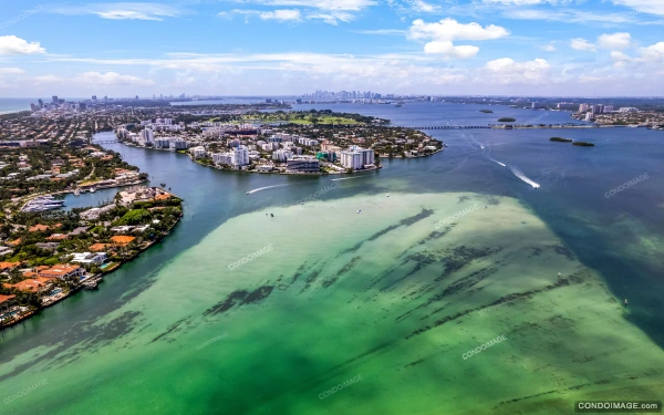 Sereno drone & aerial image 3 in Bay Harbor Islands