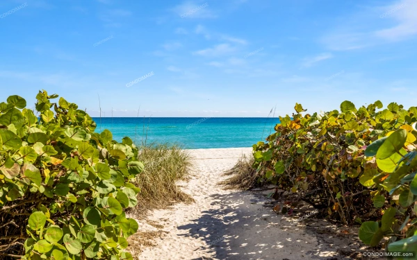 Oceania III amenities & common areas image 3 in Sunny Isles Beach