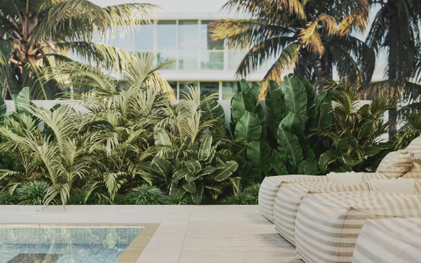 Villa Sofia Residences renderings image 2 in South Beach