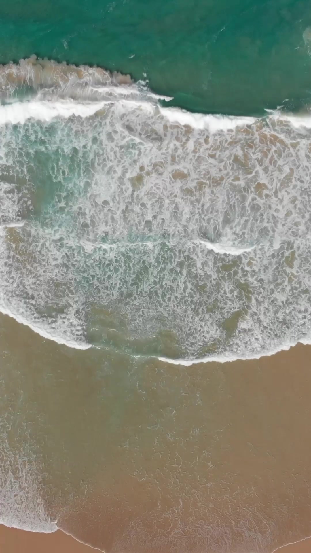 Mondrian Hallandale Beach — Brand Film