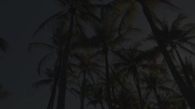 Cipriani Residences Miami — Collaborator Film